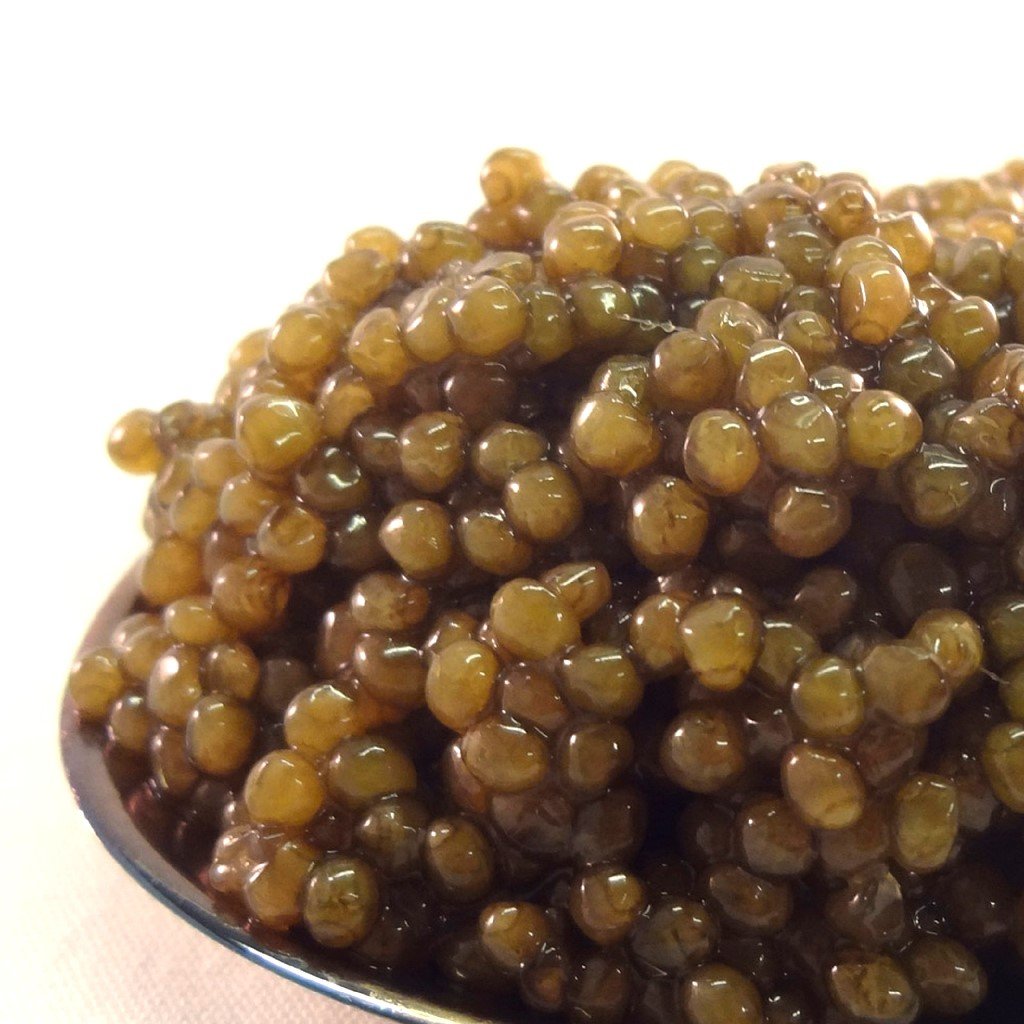 Caviale osciètre da 30g
